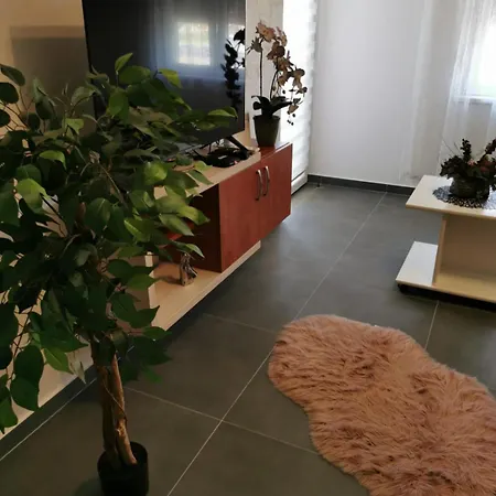 Goga 2 Veliko Gradište