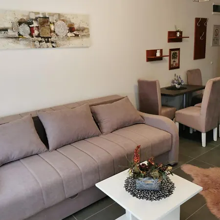 Goga 2 Apartament