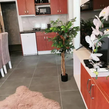 Apartment Goga 2 Veliko Gradište