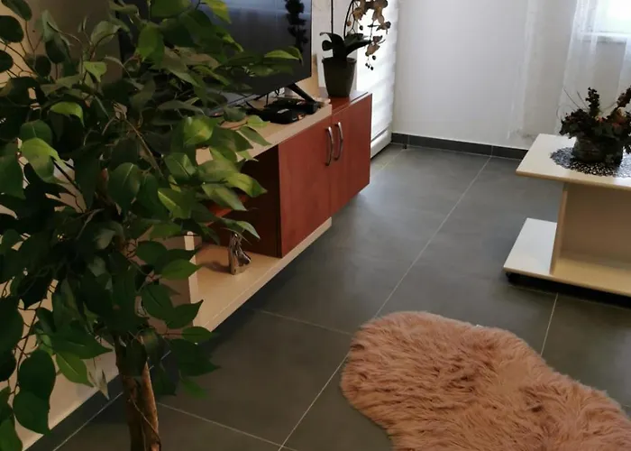 Goga 2 Велико-Градиште