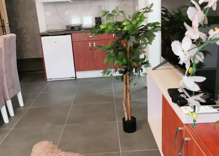 Апартаменты Goga 2 Велико-Градиште