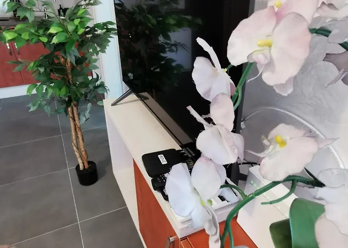 Goga 2 * Велико-Градиште